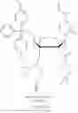 Fig. 80 - PROTECTED MONOMERS AND METHODS OF DEPROTECTION FOR RNA SYNTHESIS