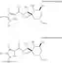 Fig. 08 - Compound amycolose derivative, method for producing the same, and use of the same