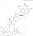 Fig. 10 - Compound amycolose derivative, method for producing the same, and use of the same