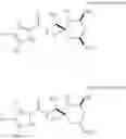 Fig. 18 - Compound amycolose derivative, method for producing the same, and use of the same