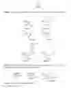 Fig. 02 - Method for synthesizing beta lactam compounds by decomposition of an alpha-diazo-beta-ketoamide using a fluorescent light source