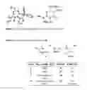 Fig. 07 - Method for synthesizing beta lactam compounds by decomposition of an alpha-diazo-beta-ketoamide using a fluorescent light source