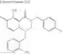 Fig. 313 - Substituted polycyclic carbamoylpyridone derivative