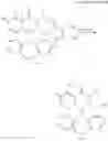 Fig. 653 - Substituted polycyclic carbamoylpyridone derivative
