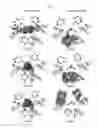 Fig. 08 - Copper complexes for optoelectronic applications