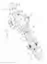 Fig. 04 - GUIDE ASSEMBLY FOR ENDOSCOPE