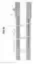 Fig. 10 - INSERTION AID AND ENDOSCOPE APPARATUS