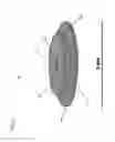 Fig. 10 - SYSTEMS, DEVICES AND METHODS FOR MONITORING HEMODYNAMICS