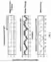 Fig. 08 - Hemoglobin contrast in ultrasound and optical coherence tomography for diagnosing diseased tissue, cancers, and the like