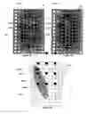 Fig. 08 - SYSTEM AND METHOD FOR PATIENT MONITORING
