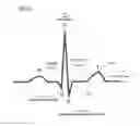 Fig. 01 - Systems and methods for increased specificity in diagnostics