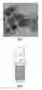 Fig. 02 - Noninvasive thermometry monitoring system