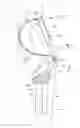 Fig. 01 - Lower back assistance apparatus