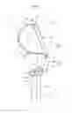 Fig. 04 - Lower back assistance apparatus