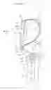 Fig. 20 - Lower back assistance apparatus