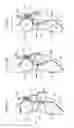 Fig. 28 - Lower back assistance apparatus