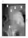 Fig. 07 - Vibrating units