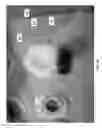 Fig. 08 - Vibrating units