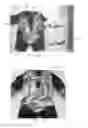 Fig. 10 - Orthotic device and method