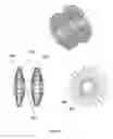 Fig. 19 - Anchors and methods for intestinal bypass sleeves