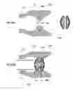Fig. 53 - Anchors and methods for intestinal bypass sleeves