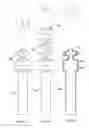 Fig. 82 - Anchors and methods for intestinal bypass sleeves