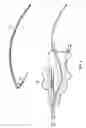 Fig. 03 - Catheter access and control device and method of using same