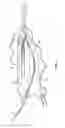 Fig. 04 - Catheter access and control device and method of using same