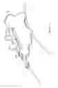 Fig. 11 - Catheter access and control device and method of using same