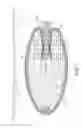 Fig. 06 - Slow release liquid drug delivery device