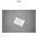 Fig. 07 - APPLICATOR DEVICE OF PINHOLDER TYPE MICRONEEDLE