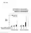 Fig. 06 -  MULTICOMPONENT MAGNETIC NANOPARTICLE DELIVERY SYSTEM FOR LOCAL DELIVERY TO HEART VALVE LEAFLETS AND OTHER ANIMAL TISSUES