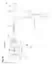Fig. 13 - Positioning method and apparatus for delivering vapor to the uterus