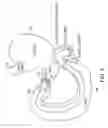 Fig. 06 - Anti-obesity devices