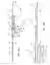 Fig. 35 - Endoscopic tissue anchor deployment