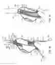 Fig. 07 - Methods and Systems for Treating Aneurysms