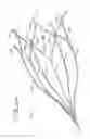 Fig. 10 - Vein filter
