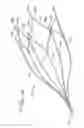 Fig. 13 - Vein filter