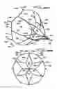 Fig. 30 - Vein filter