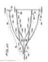 Fig. 35 - Vein filter