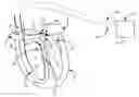 Fig. 01 - Vagal stimulation