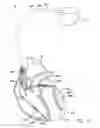 Fig. 09 - Systems and methods for selectively limiting multi-site ventricular pacing delays during optimization of cardiac resynchronization therapy parameters