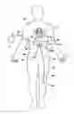 Fig. 01 - PROCESS AND APPARATUS FOR TREATING BIOLOGICAL ORGANISMS