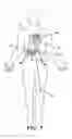 Fig. 08 - PROCESS AND APPARATUS FOR TREATING BIOLOGICAL ORGANISMS