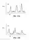 Fig. 13 - PROCESS AND APPARATUS FOR TREATING BIOLOGICAL ORGANISMS