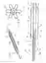 Fig. 06 - Indwelling heat exchange catheter and method of using same
