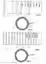 Fig. 02 - VASCULAR BAND