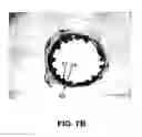 Fig. 07 - Primer layer coatings of a material with a high content of hydrogen bonding groups for implantable devices and a method of forming the same