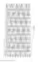 Fig. 20 - Flexible and expandable stent