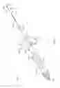 Fig. 40 - Apparatus and method for deploying an implantable device within the body